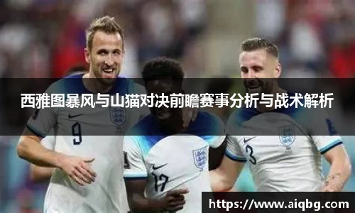 西雅图暴风与山猫对决前瞻赛事分析与战术解析